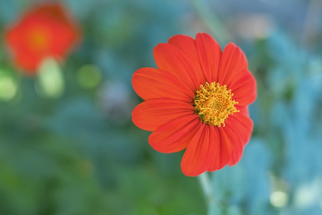 颜骏凌晒自己和范德萨的合影：这一切都是值得的❤
