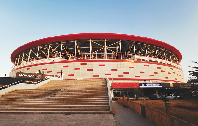 鸣枪深马，与城同行！深圳花游姐妹花与体操“五冠王”的奔跑感悟