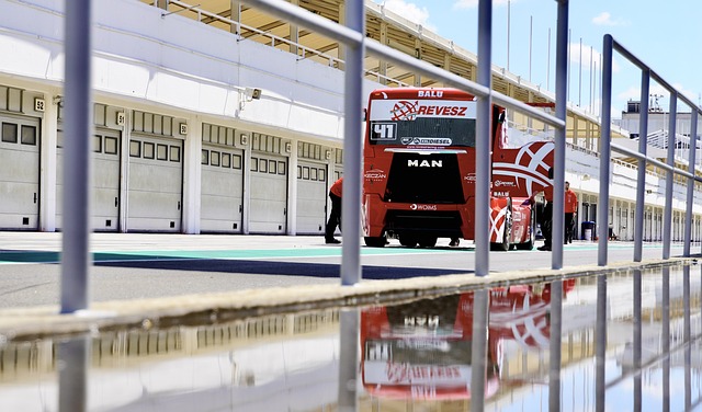 球员的带领 球员的带领