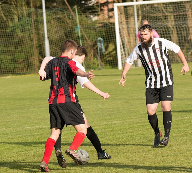 在无数篮球 在无数篮球