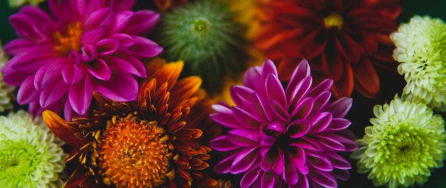 供经济支持 供经济支持