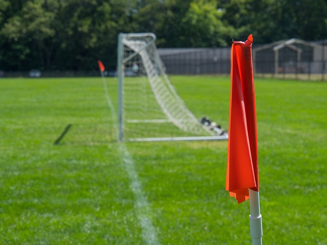 实习进入了 实习进入了