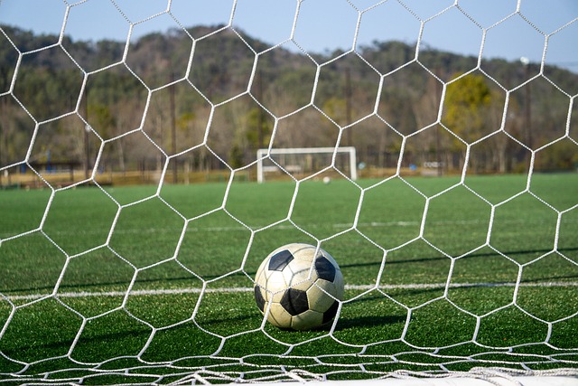 勇士队与森 勇士队与森