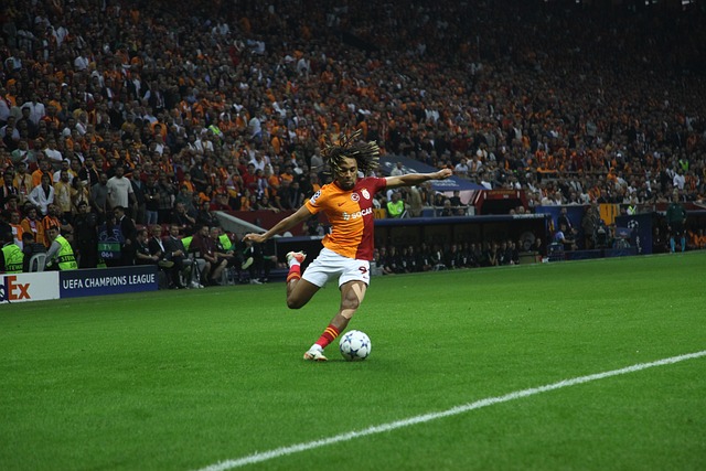 不仅需要个 不仅需要个