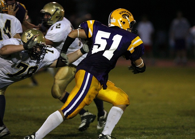 如比赛观赏 如比赛观赏