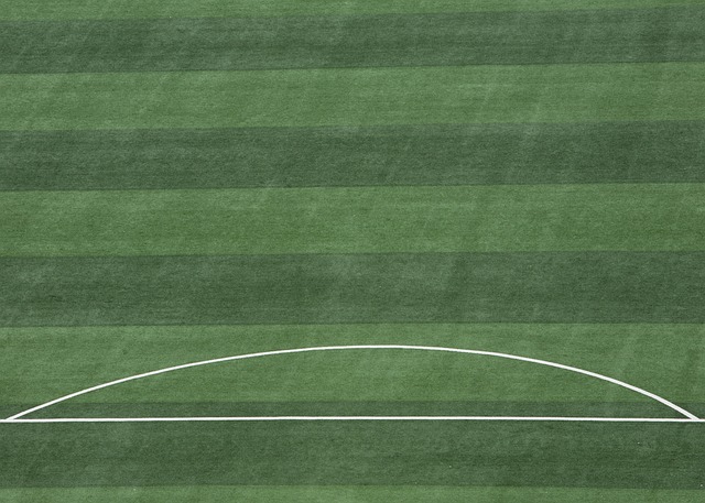 最终依然夺 最终依然夺