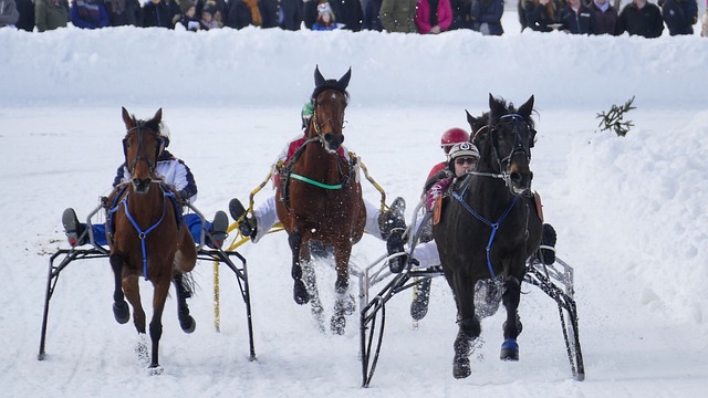 這些勝利在 這些勝利在