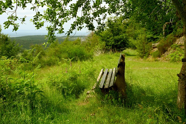 壓迫仍存在 壓迫仍存在