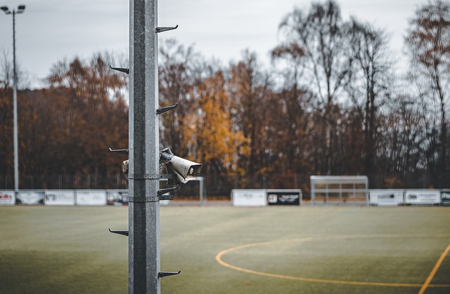 现出的顽强 现出的顽强