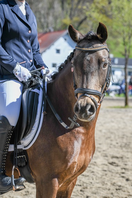 莎的故事就 莎的故事就